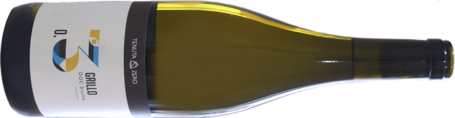 0.3 Grillo